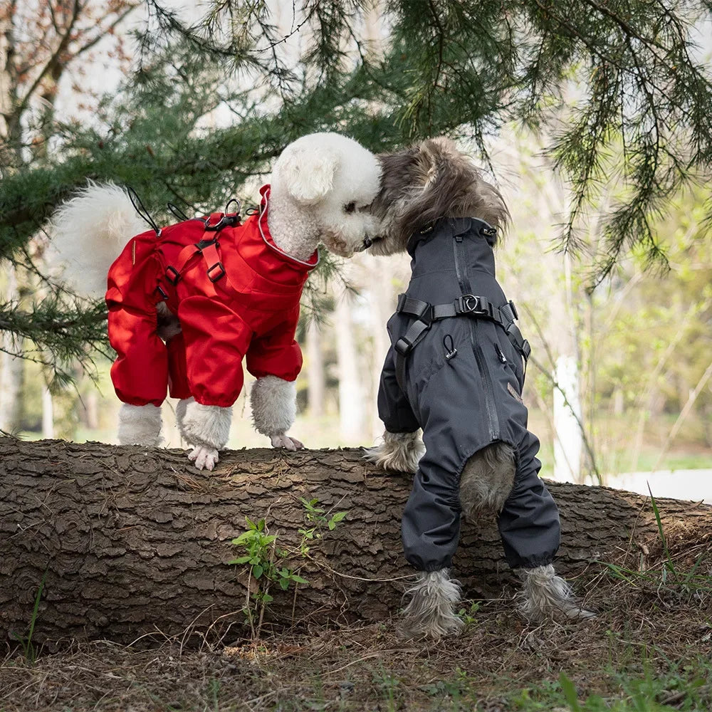 Imperméable avec harnais intégré pour chien