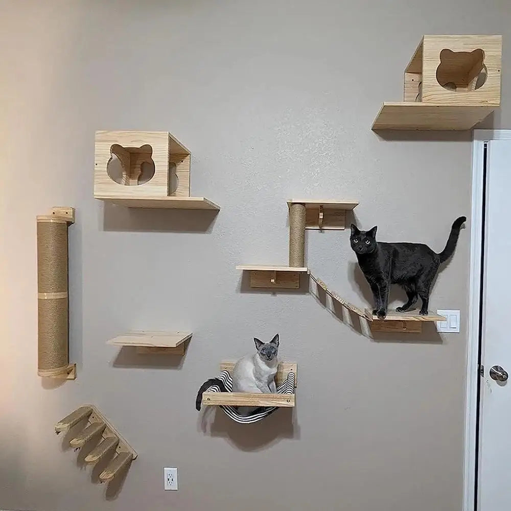 Arbre à chat mural et étagères