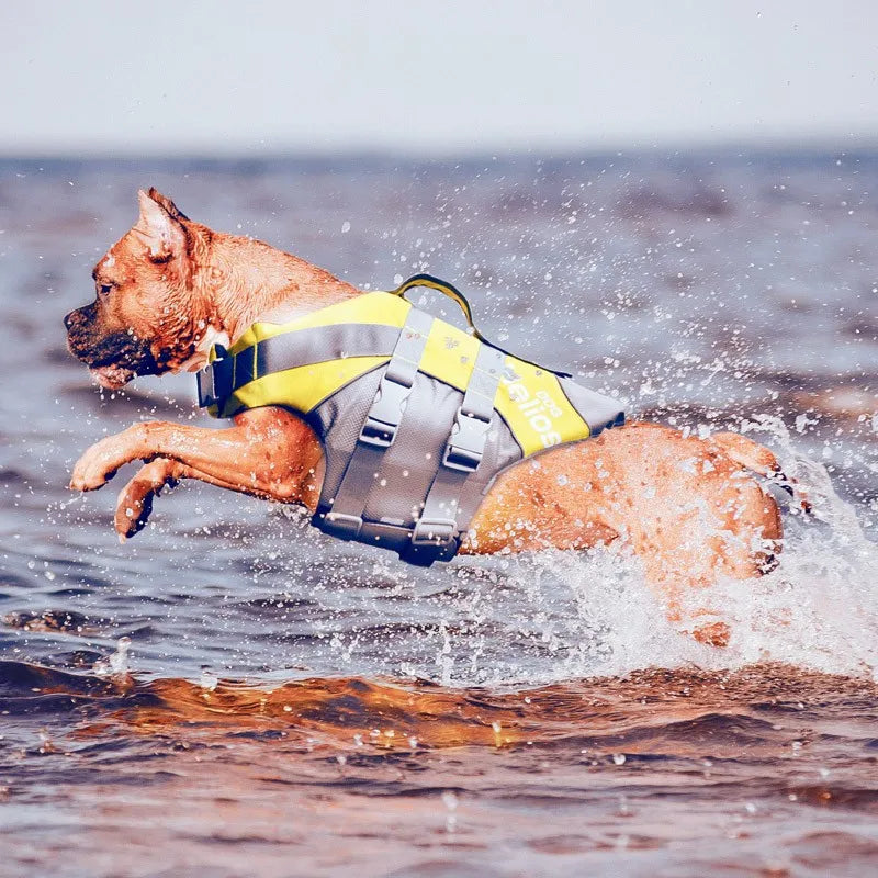 Gilet de sauvetage Premium pour chien