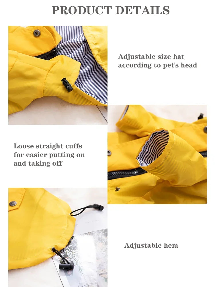 Imperméable coupe-vent pour chien