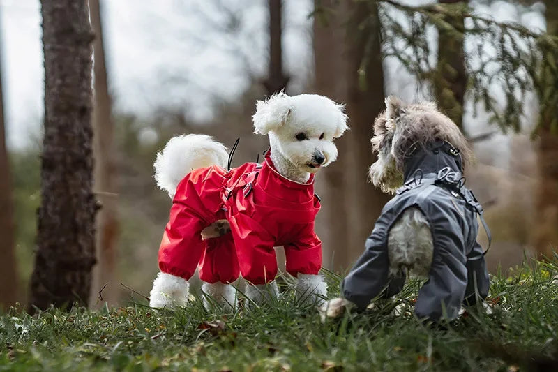 Imperméable avec harnais intégré pour chien
