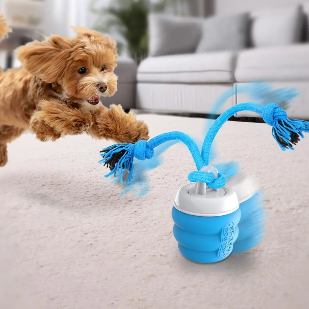 Balle avec corde pour chien