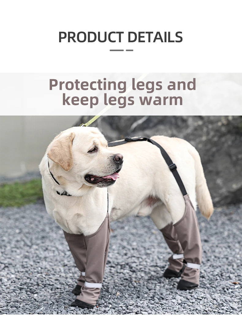 Chaussures imperméables pour chien