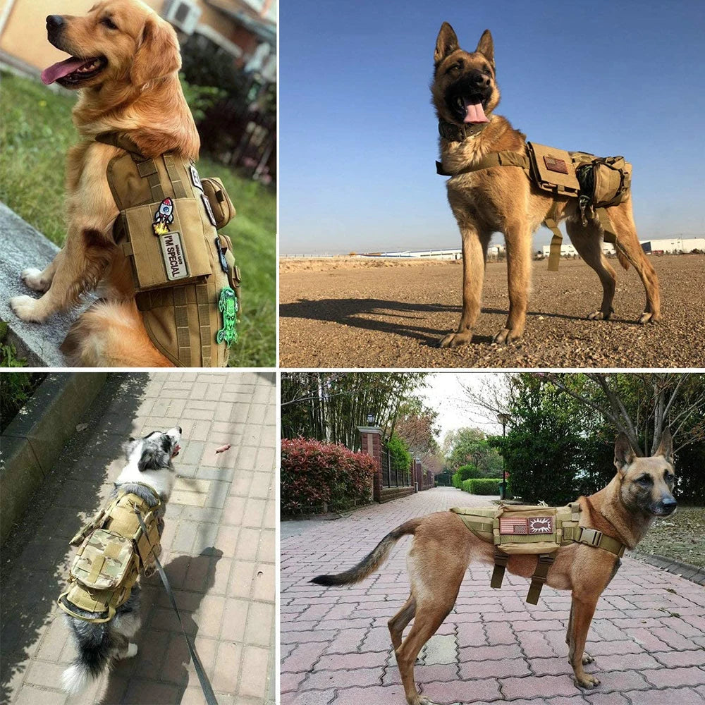 Harnais tactique pour chien