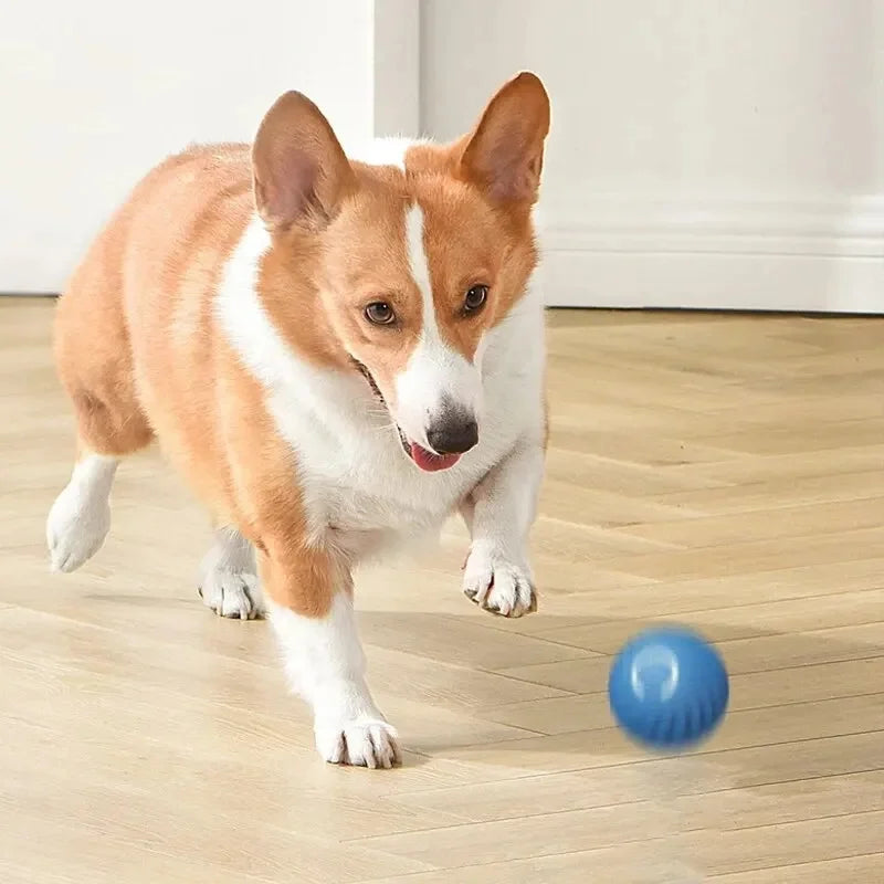 Balle intelligente pour chien