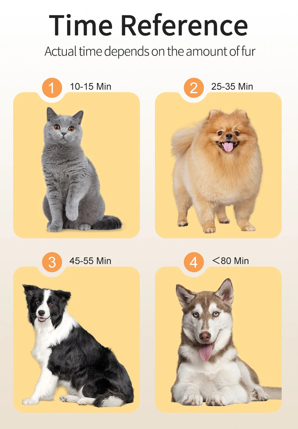 Sèche-cheveux et brosse de toilettage 2 en 1 pour animaux de compagnie