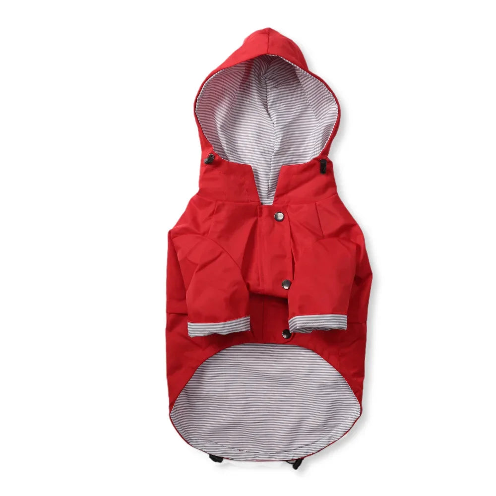 Imperméable coupe-vent pour chien