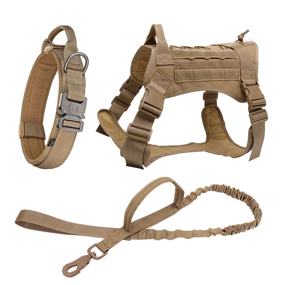 Kit tactique pour chien