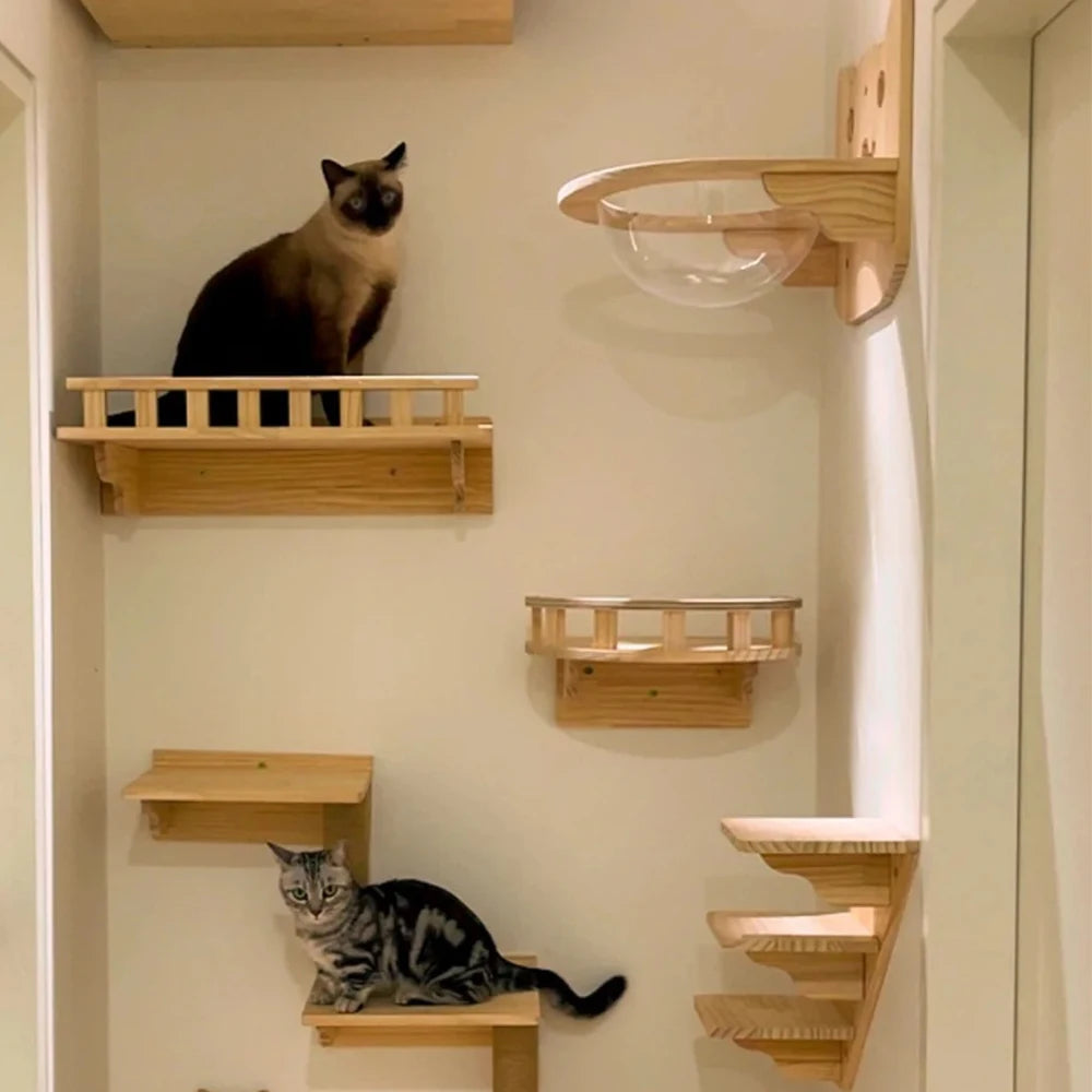Arbre à chat mural et étagères