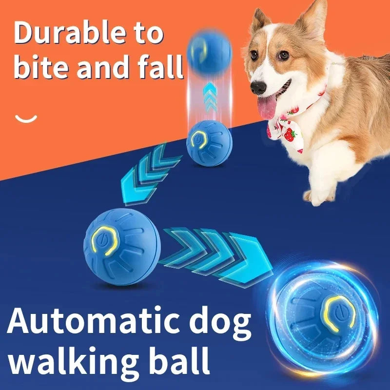 Balle intelligente pour chien