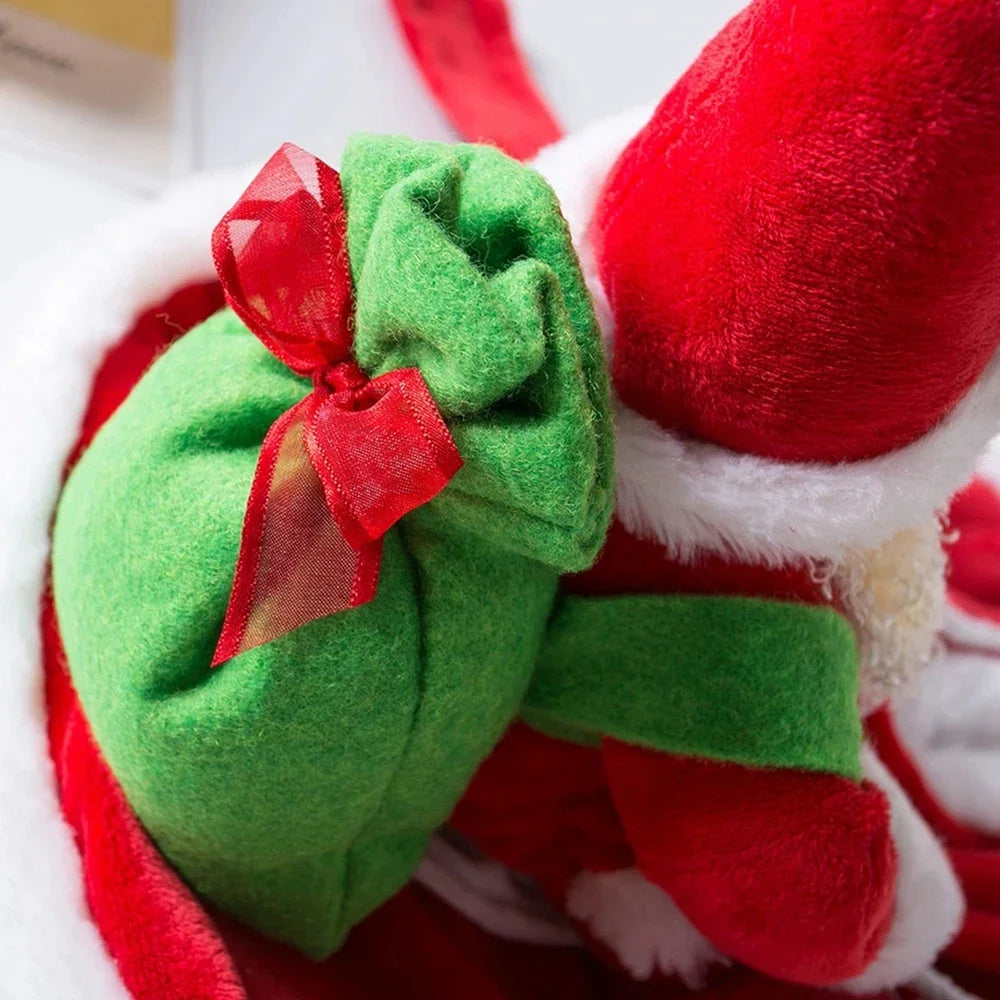 Santa Claus Christmas Dog Costume