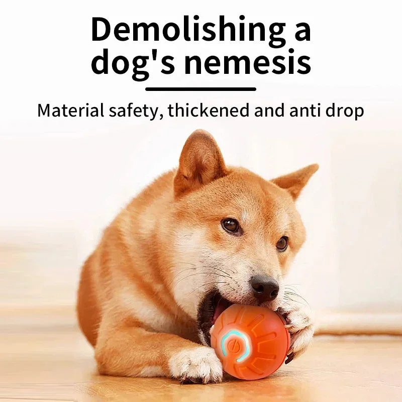 Balle intelligente pour chien
