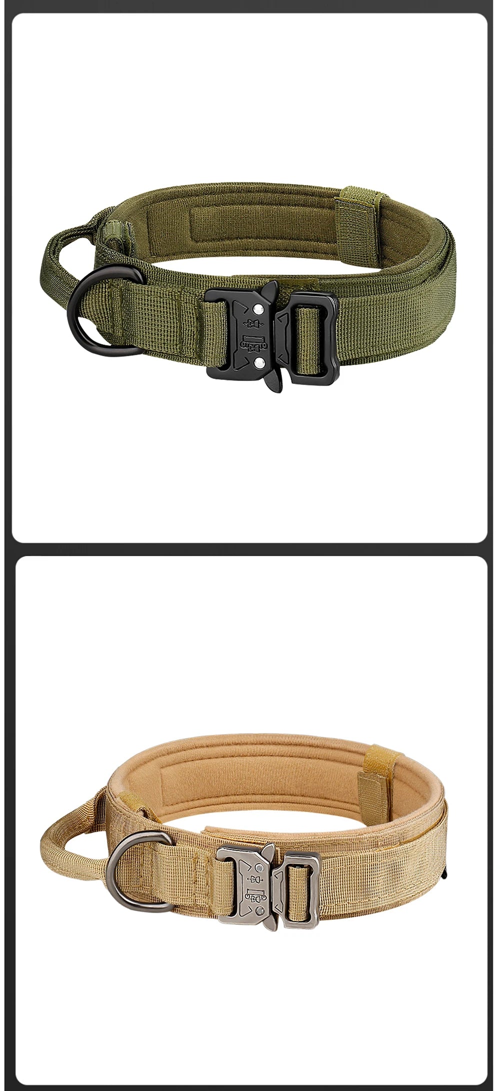 Collier tactique pour chien