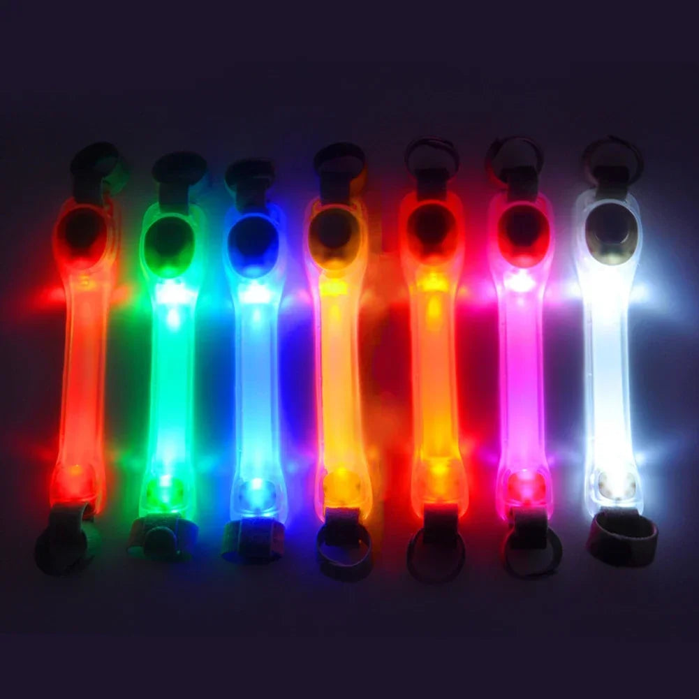 Glowing Dog Collar