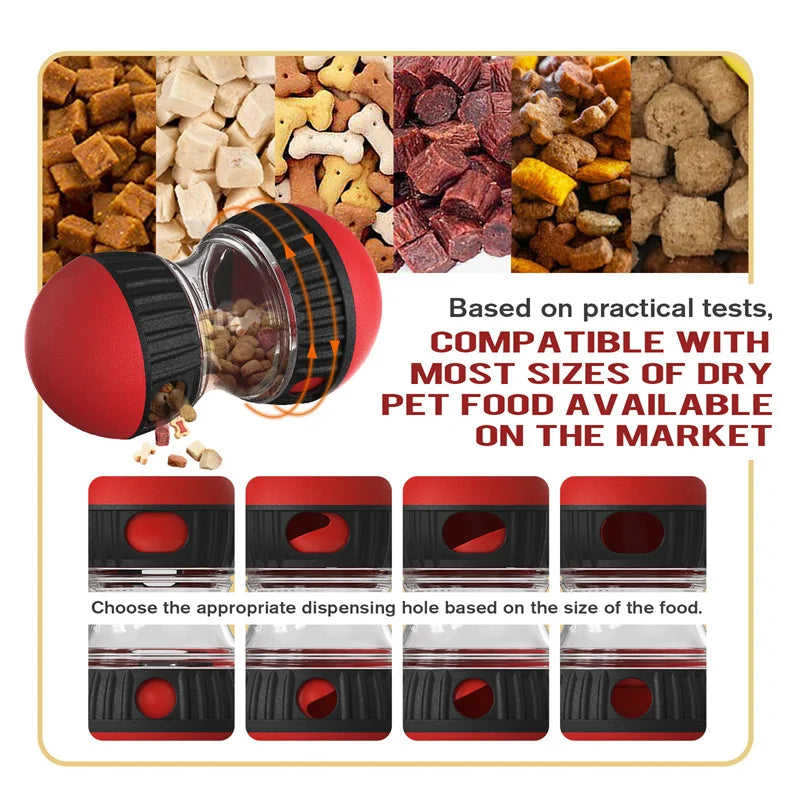 Jouet pour chien améliorant le QI