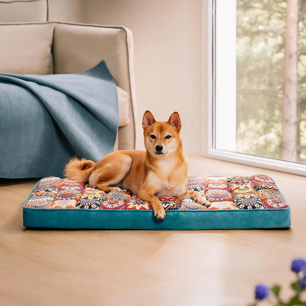 Panier orthopédique pour chien