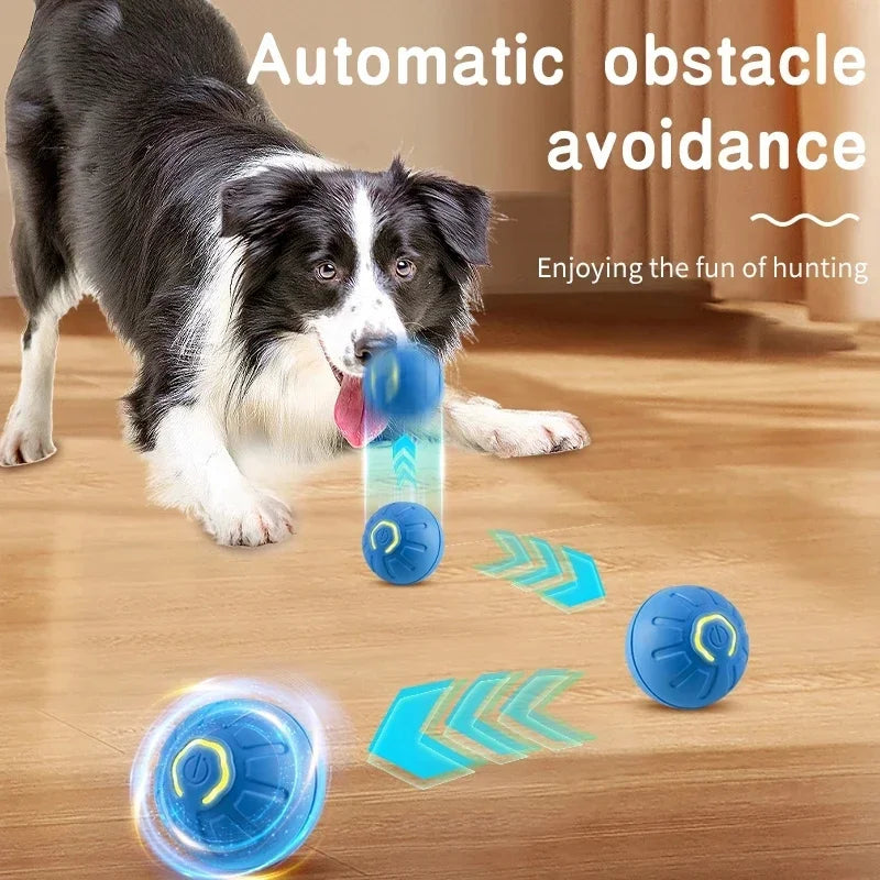 Balle intelligente pour chien