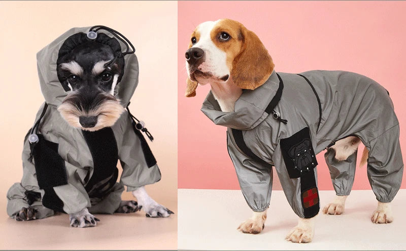 Grand imperméable pour chien