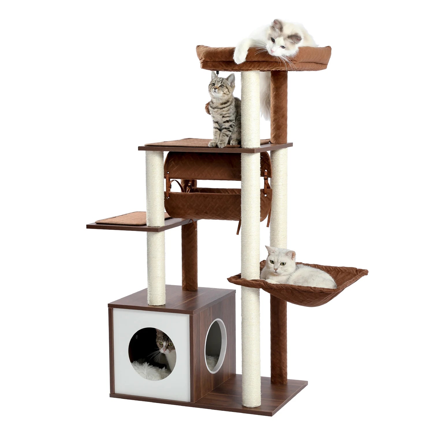 Arbre à chat moderne en bois