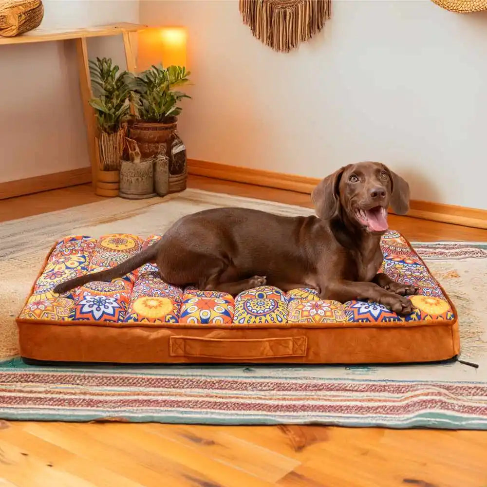 Panier orthopédique pour chien