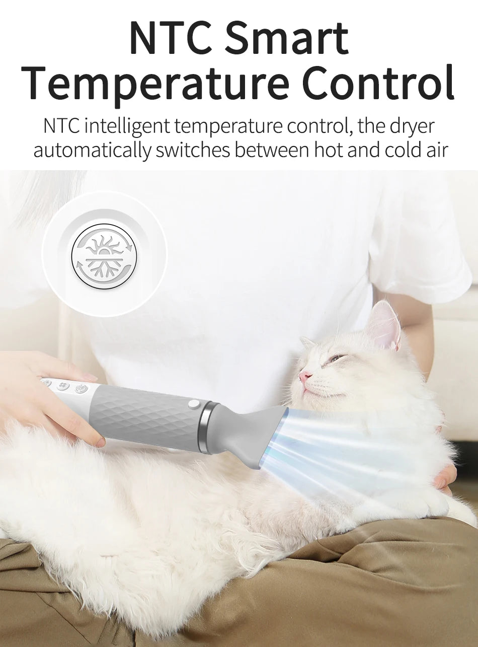 Sèche-cheveux et brosse de toilettage 2 en 1 pour animaux de compagnie