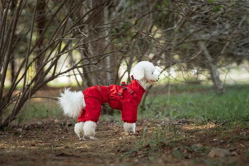 Imperméable avec harnais intégré pour chien