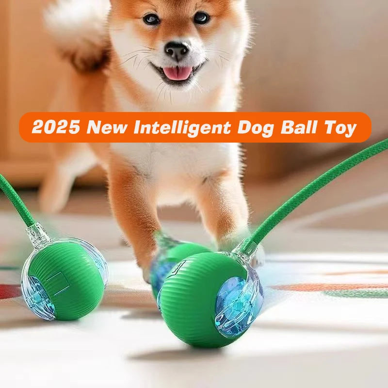 Balle sauteuse pour chien