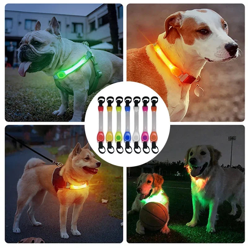 Glowing Dog Collar