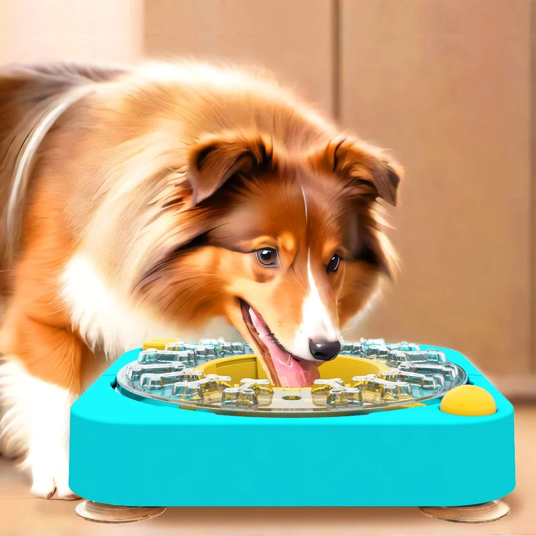 Jouet puzzle interactif 3 en 1 pour chien