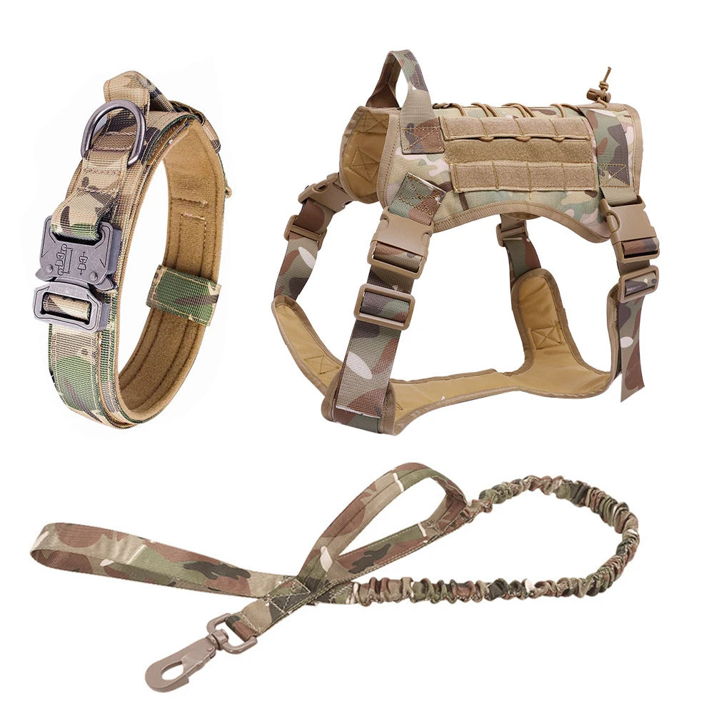 Kit tactique pour chien