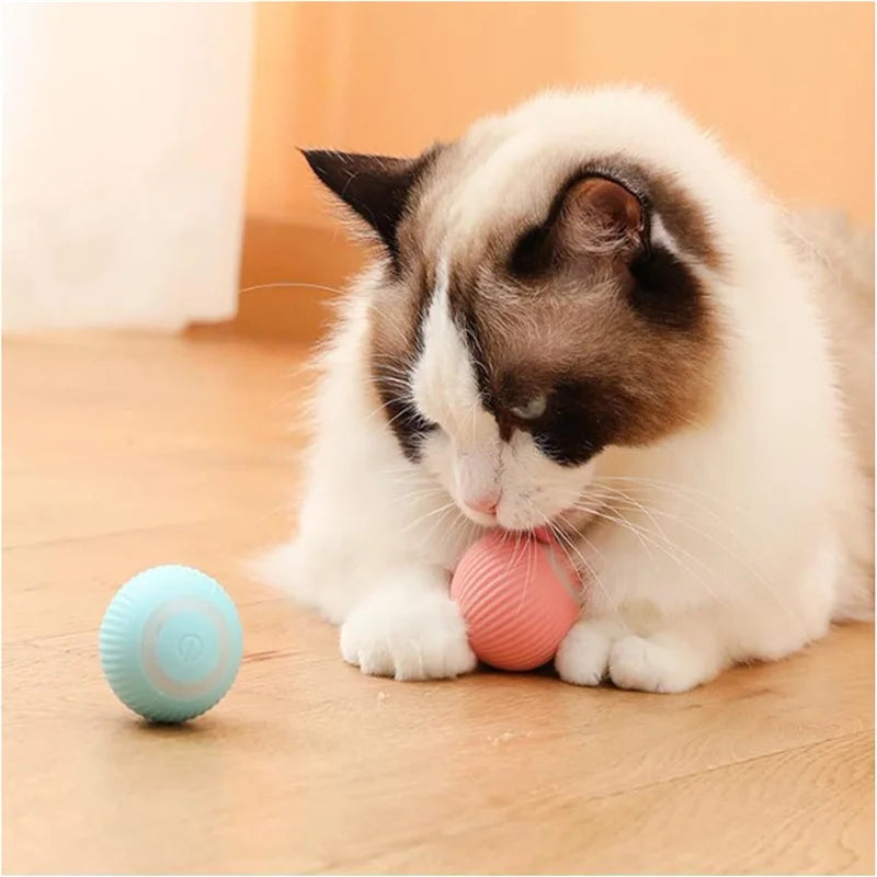 Balle intelligente pour chien