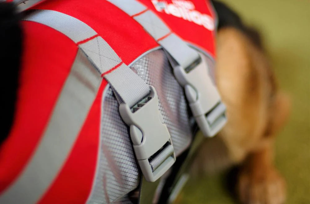 Gilet de sauvetage Premium pour chien