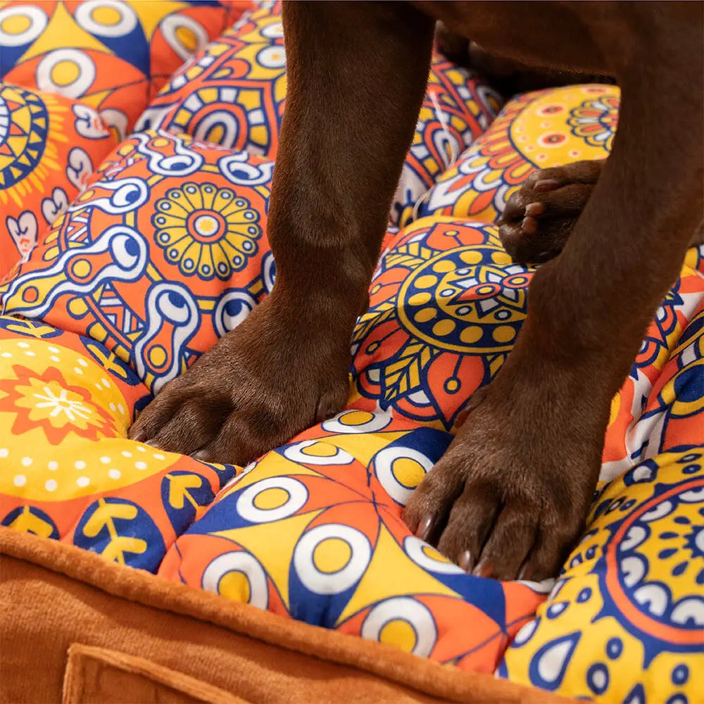 Panier orthopédique pour chien