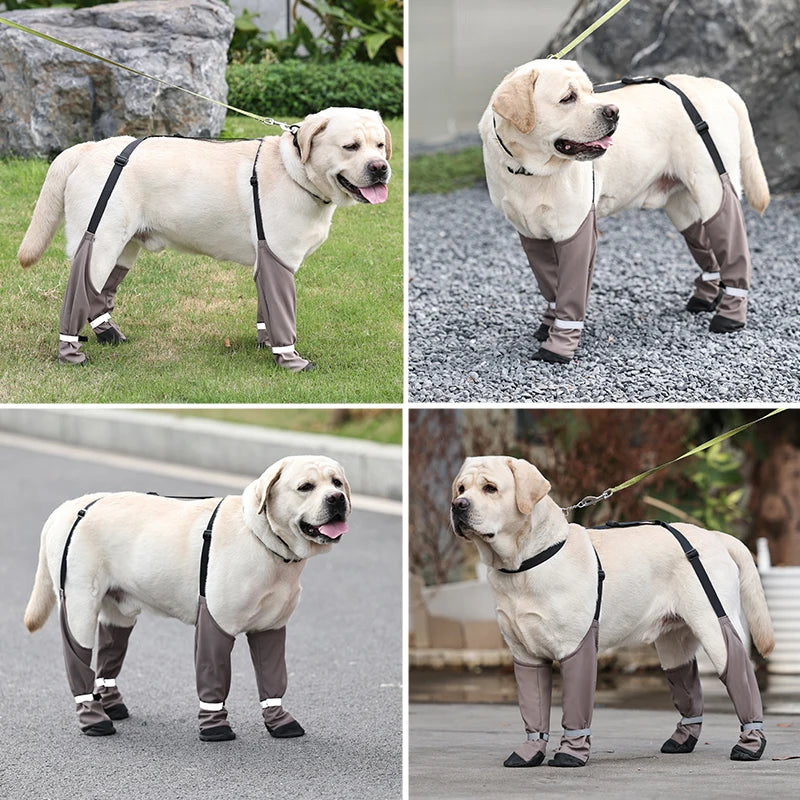 Chaussures imperméables pour chien