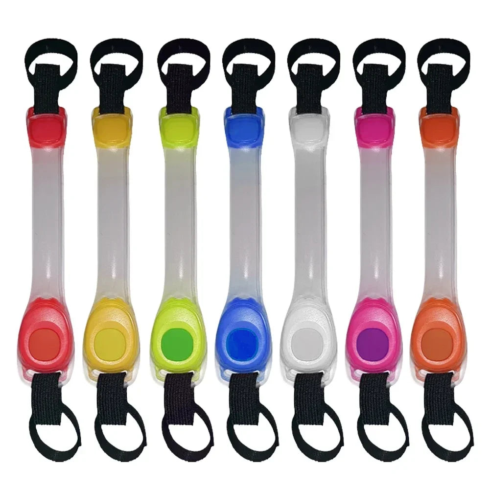 Glowing Dog Collar