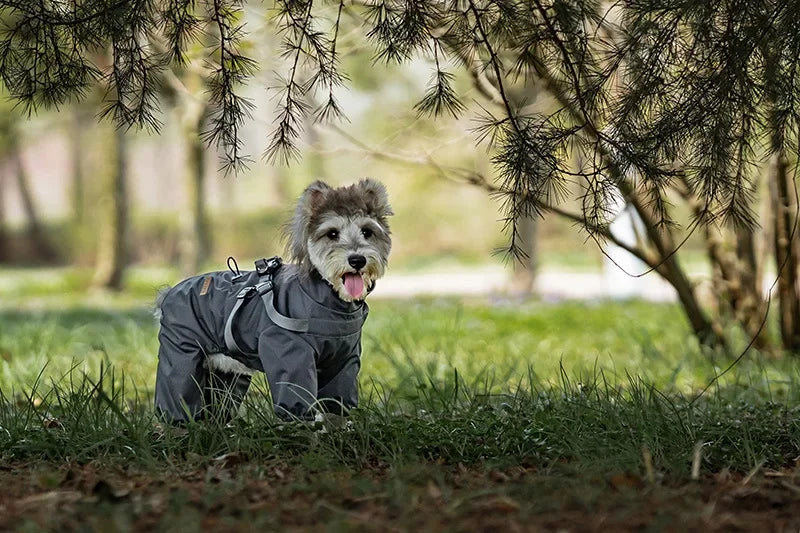 Imperméable avec harnais intégré pour chien