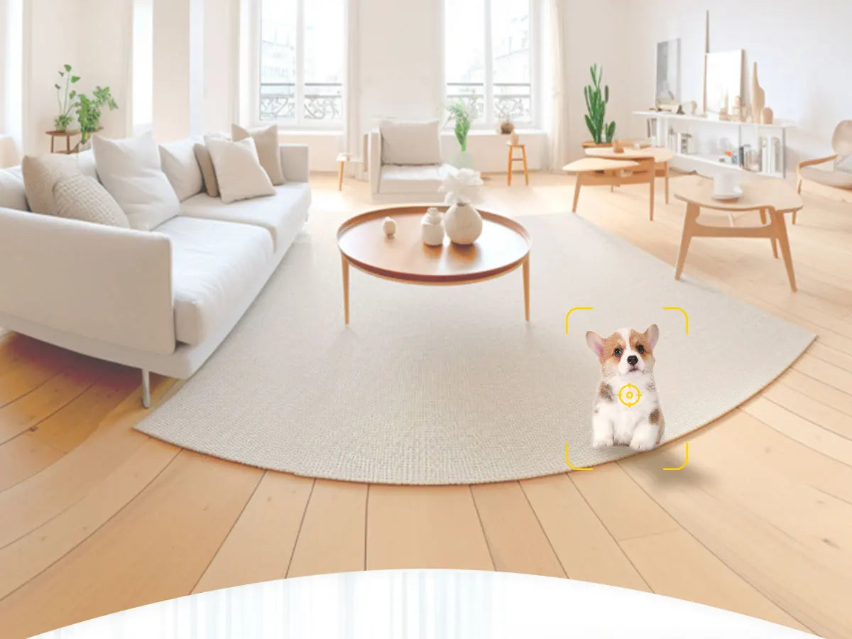 Caméra pour chien connectée
