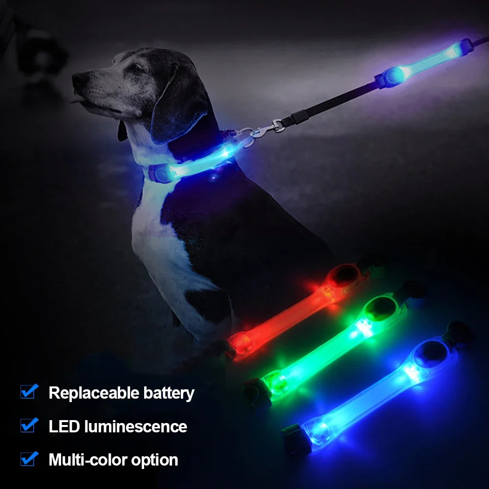 Glowing Dog Collar