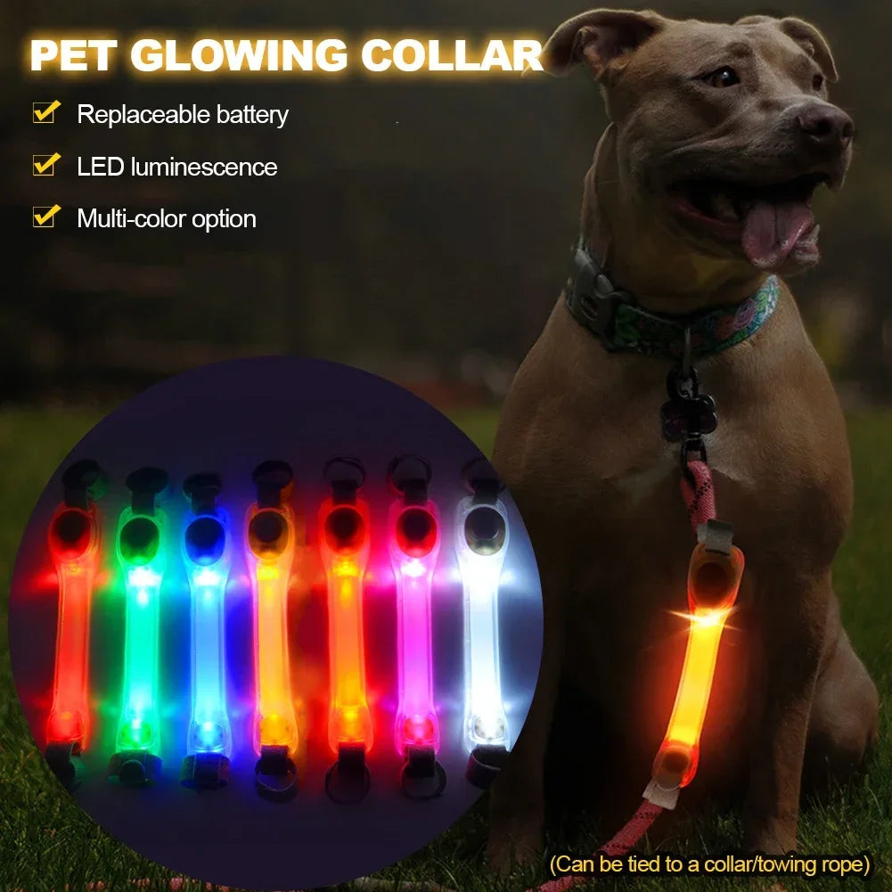 Glowing Dog Collar