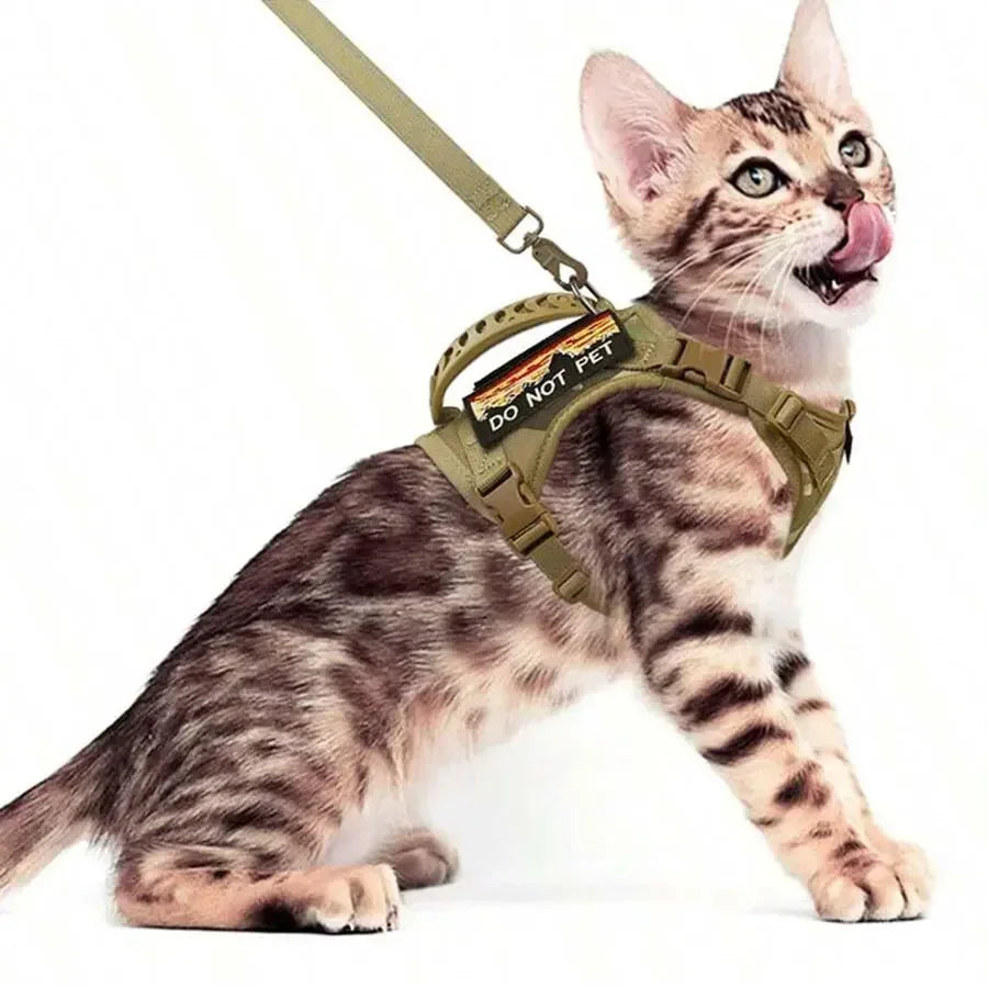 Tactical Cat Harness