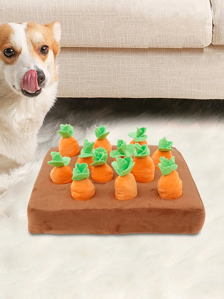 Jouet en peluche carotte pour chien