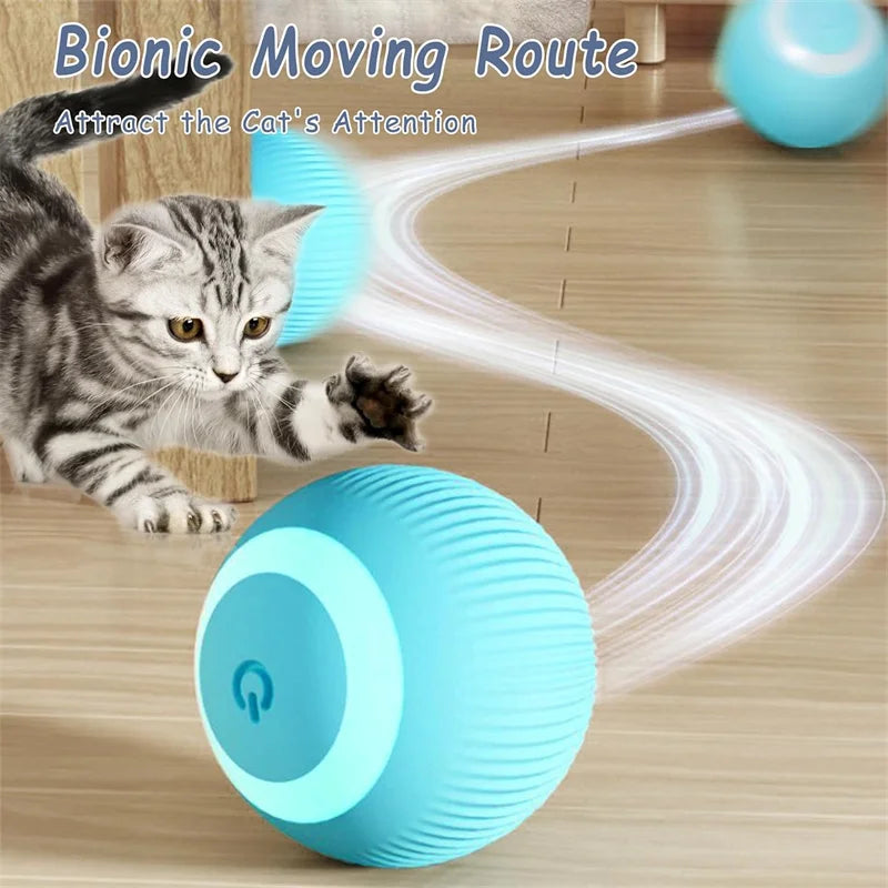 Balle intelligente pour chien