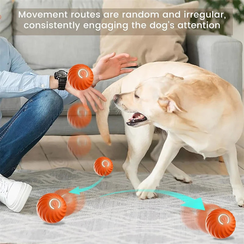 Balle intelligente pour chien