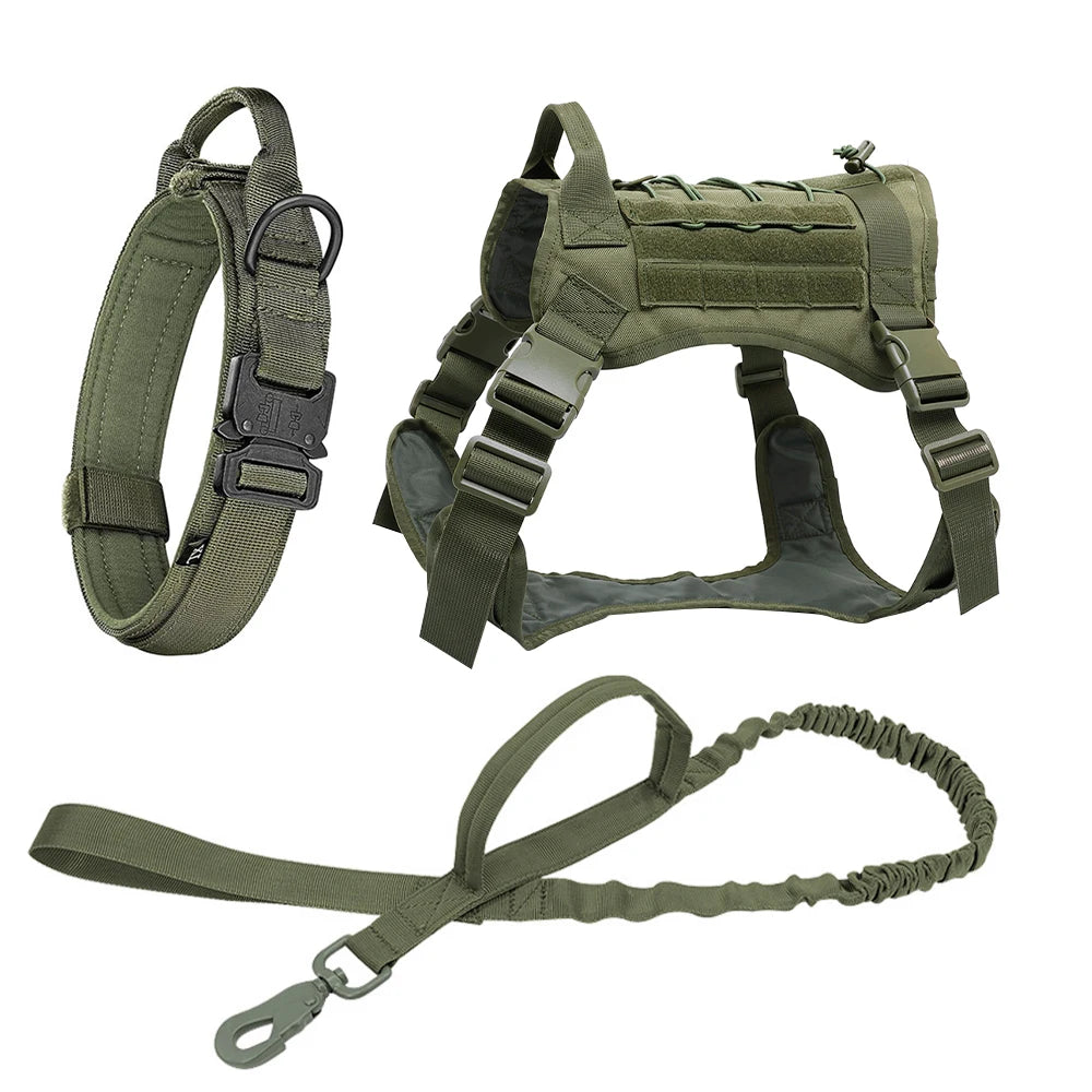 Kit tactique pour chien