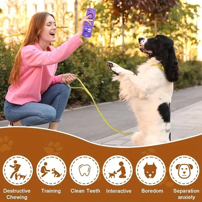 Silicone Remote Dog Teether