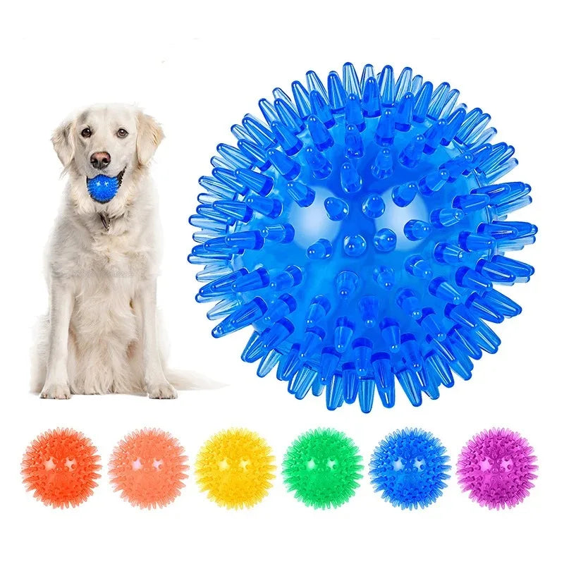 TPR Squeaky Spiky Ball
