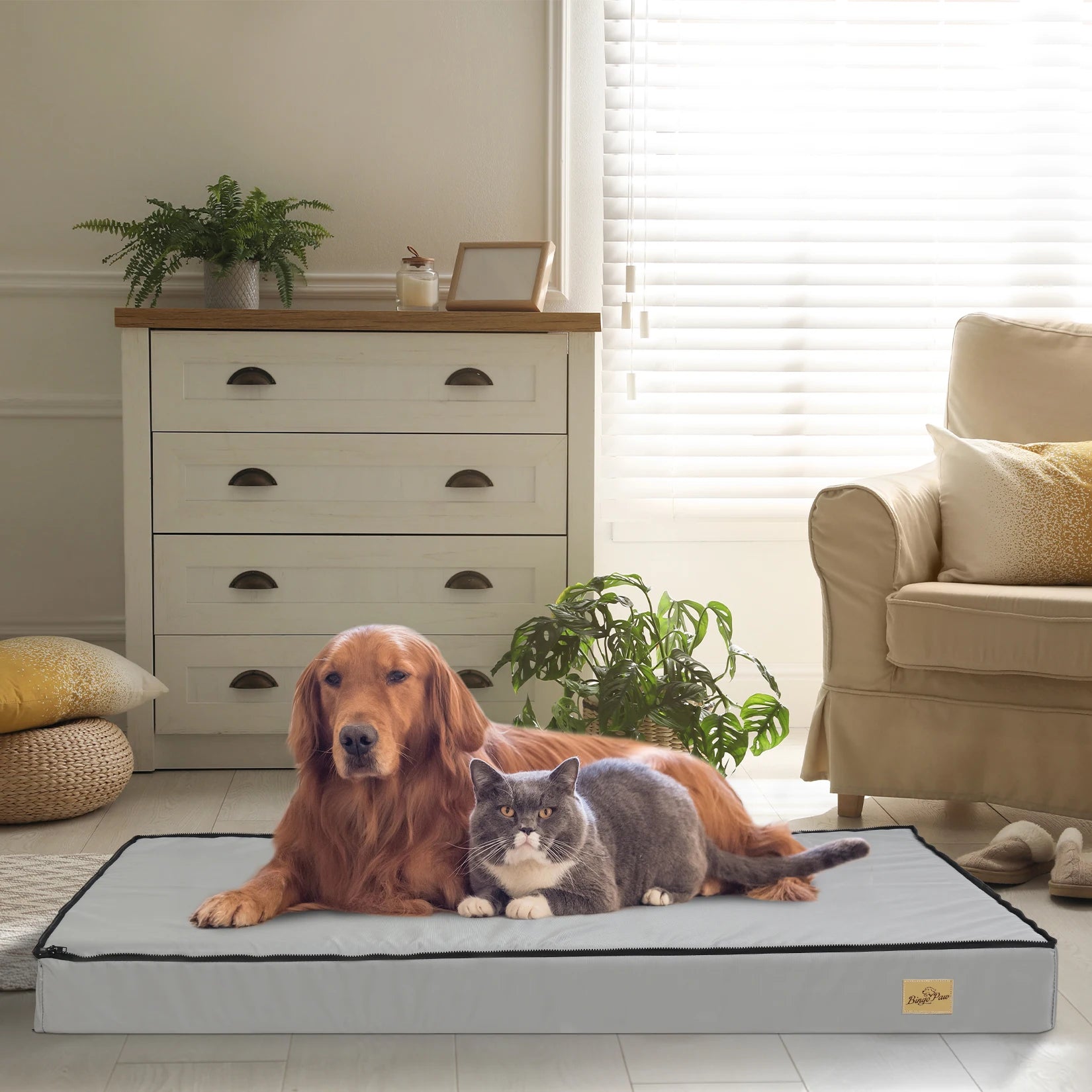 Thick Orthopedic Dog Bed