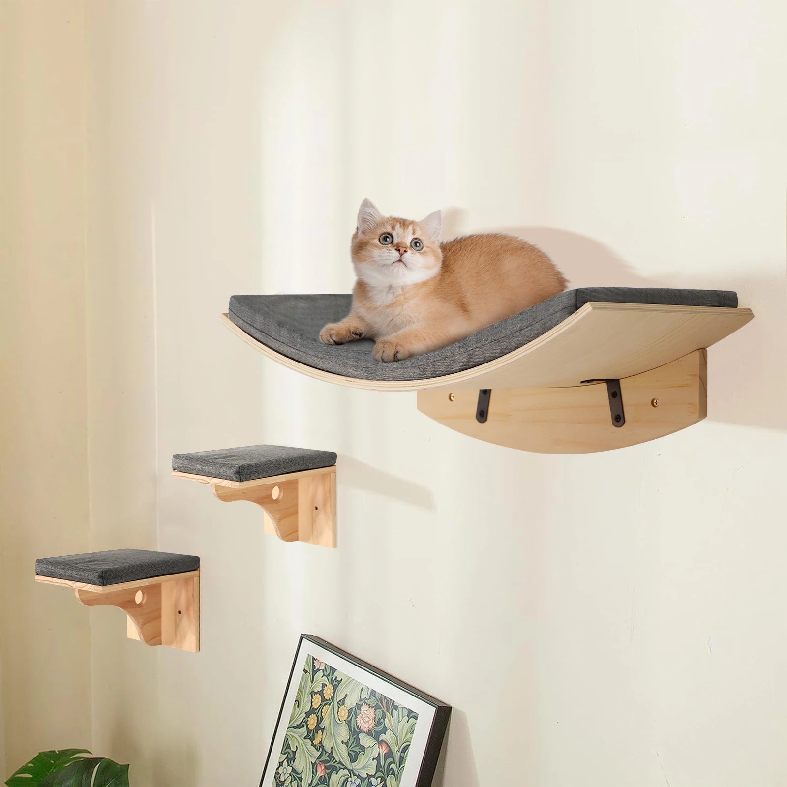 Wall-Mounted Cat Shelf Bed