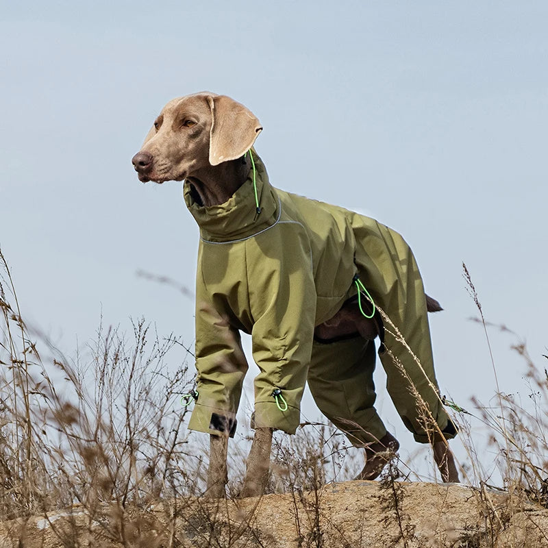 Waterproof Reflective 4-Leg Dog Jacket