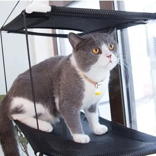 Window Cat Hammock Suction Mount